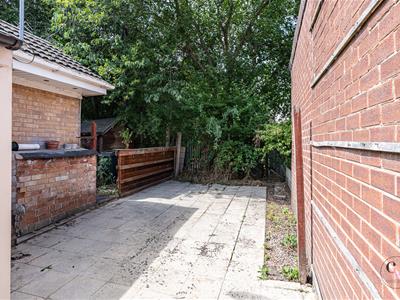 Picture 20